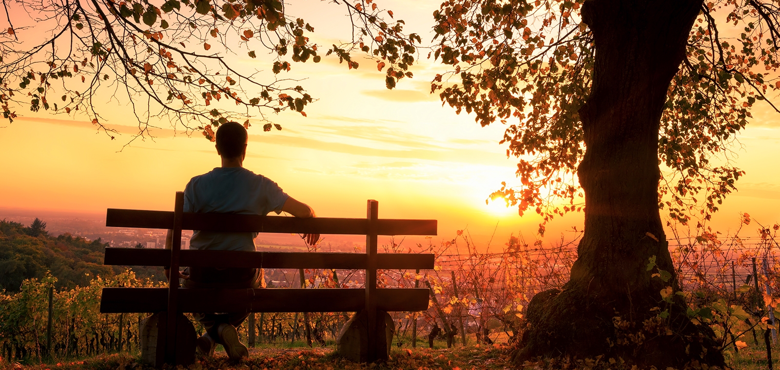 Den Alltag genießen